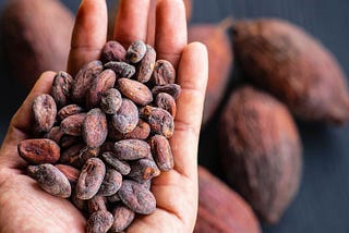 CBN to Boost Cocoa, Sesame Exports with N21bn Disbursement | Punch NG