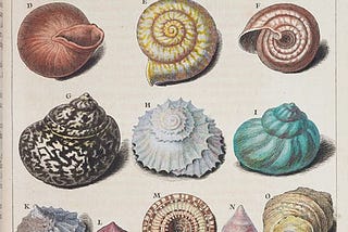 A shell catalog