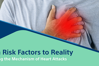 From Risk Factors to Reality: Unveiling the Mechanism of Heart Attacks