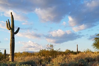 Check Out My Home Office in the High Desert