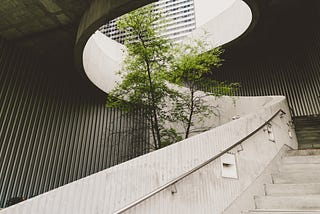 A spiral concrete staircase with a thin tree growing in the spiral and through an opening in the roof.