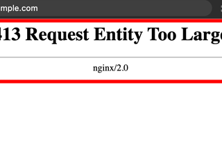 Fix “413 request entity too large” Nginx error on AWS Elastic Beanstalk via EBS Configuration