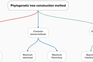 Phylogenetic Tree: Methods for Construction