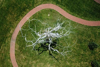 Synaptic Plasticity Network: An experimental initiative