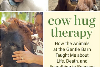 What The World Needs Now Is To Hug A Cow