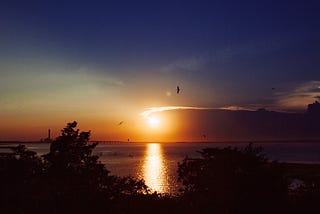 a colorful sunset over a bay with birds flying in the sky