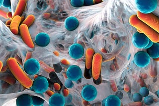 IN SICKNESS AND HEALTH: OUR MARRIAGE WITH THE HUMAN MICROBIOME