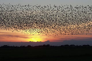 Defining decentralisation