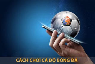 11 cách cá độ bóng đá không biết thua là gì !