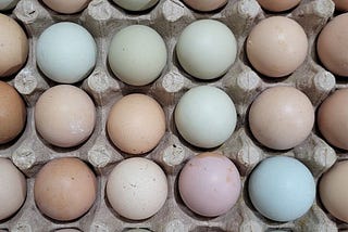 colored eggs in a carton