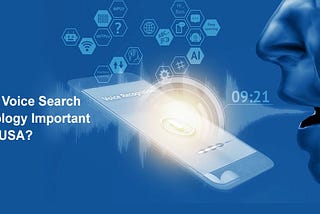 Why is Voice Search Technology important in the USA?