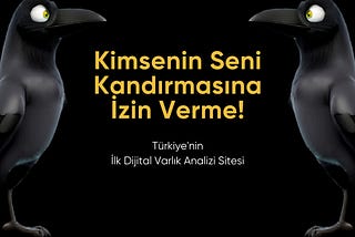 Türkiye’nin İlk Dijital Varlık Analizi Sitesi Crowliz ile Tanışın!