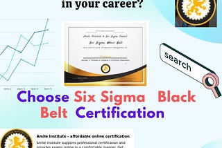Are you looking to Upscale in your career? Choose Six Sigma Black Belt Certification