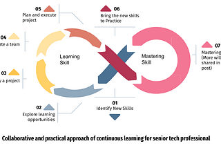 Collaborative and practical approach of continuous learning for senior tech professional