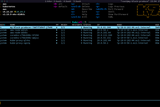 Running a Mina block producer in minutes with Pulumi