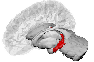 The Future: A Human Invention According to Physics, Neuroscience, and Philosophy