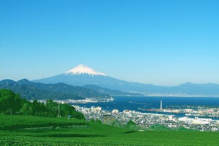 Discover Shizuoka City and Experience True Japan