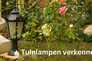 Tuinlampen verkennen