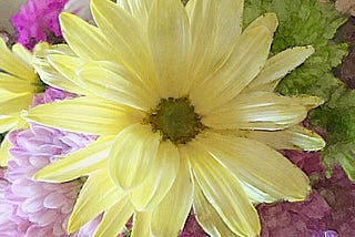 Yellow flower, the very color of cheer