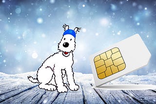 Injective Snowy E-SIM Card: Your Shield in the GSM Universe