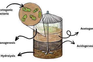 An Essay About Agriculture in South Africa