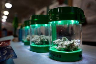 Pot Politics: The 2024 Cannabis Legalization Discussion