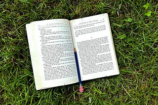 Tender is the Night, my summer novel. Photo by author.