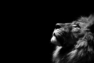 Life is NOT a Compromise