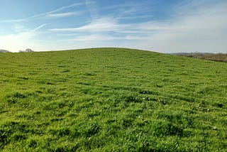 Low mound in a green field, Boar’s Den roundbarrow, April 2023 (author’s photo)