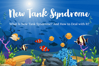 What Is New Tank Syndrome? And How to Get Rid Of New Tank Syndrome?