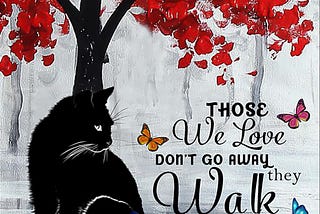 COOL Cat those we love don’t go away they walk beside us every day poster