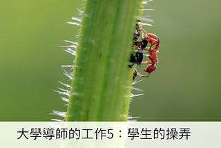 大學導師的工作5：學生的操弄