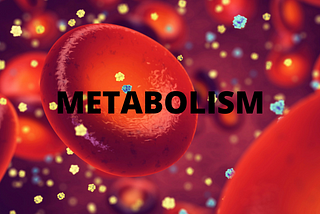 What can Destroy Your Metabolism?