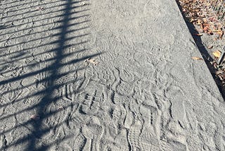 Hundreds of treads on the gravelly path of the Reservoir in NYC. It’s a sunny day and you can see a shadow of the railing around the water.