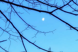 The Resolution-Free Way to Transform Your Life