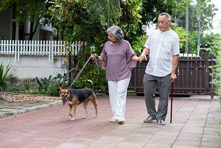 To Old to Adopt a Puppy? I have an Opinion
