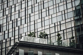 A Corporate Contradiction