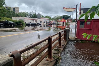 Miyawaki Forest in Attleboro to reduce flooding and stormwater damages