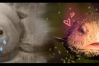 We are all the blobfish.