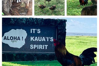 Kauai Island in Hawaii