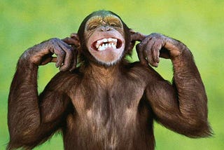 Lessons from the Life of The Smiling Monkey….