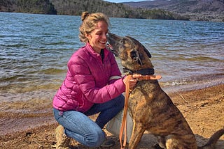 Belgian Malinois Protection Dogs