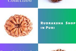 Finest Rudraksha Shop in Puri