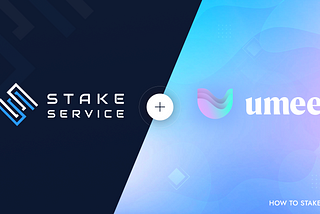 How to stake $UMEE tokens