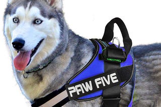 No Pull Dog Harness — Paw-Five