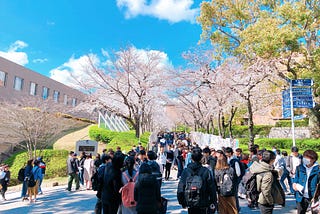 大阪交換半年內，瘋玩日本2府11縣、環球去了8次，竟然只花了....