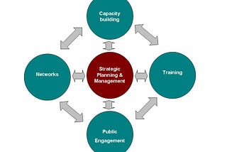 Designing and implementing effective science policies for a developing country