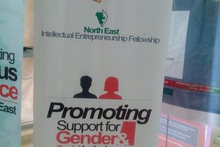 Promoting Support for Gender and Social Inclusion in the North East. #NotAnotherNigerian