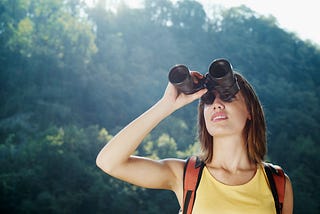 Photographing Birds and Wildlife in a Wetland Area