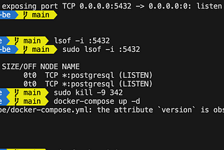 Error response from daemon: Ports are not available: exposing port TCP 0.0.0.0:5432